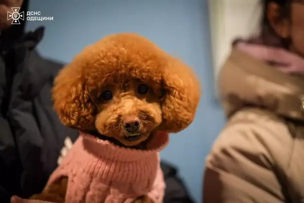 Наслідки нічної атаки дронів на Одесу / © ГУ ДСНС в Одеській області