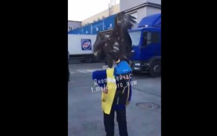 "Біологічна зброя" у дії: у Дніпрі "бойовий орлан" атакував працівника АТБ (відео)