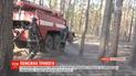 Знову палає: вогонь охопив пів тисячі гектарів заповідника у Житомирській області