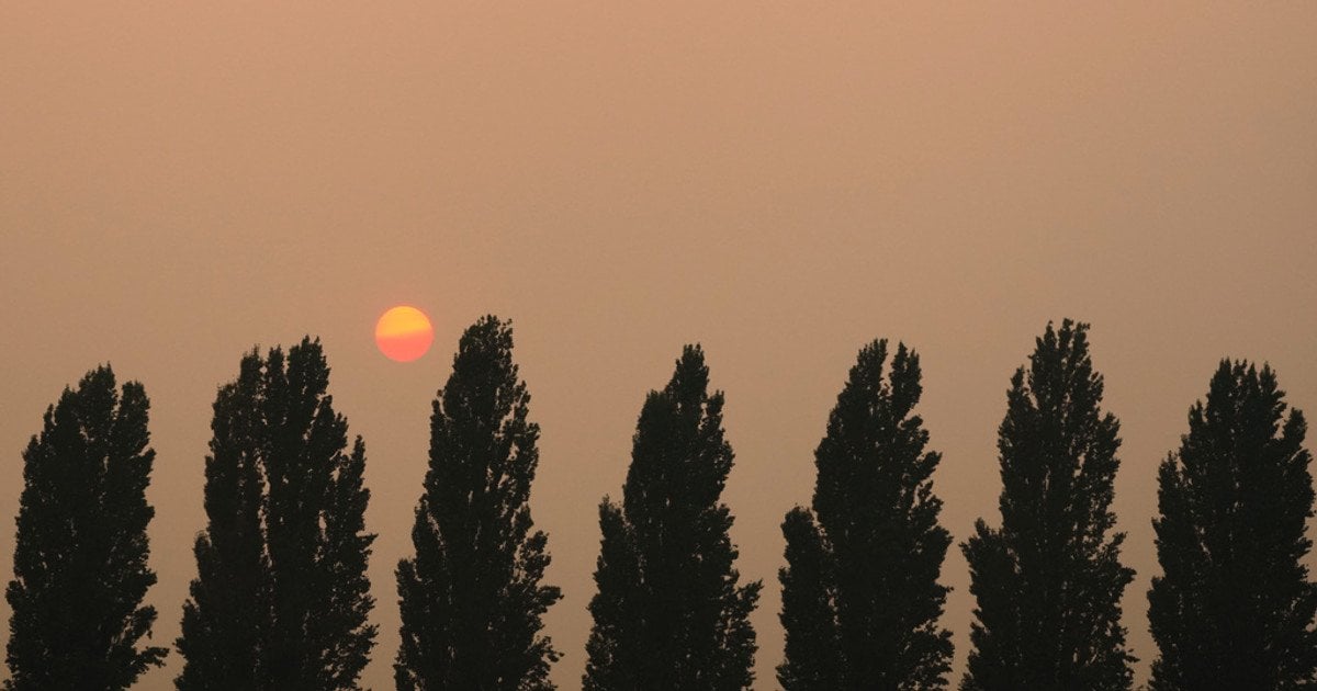 Україна знову прогріється до +33°