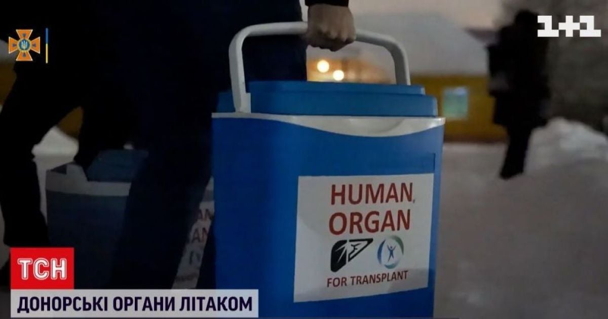 Літаком з Прикарпаття до Києва відправили донорські органи для пересадки: відео
