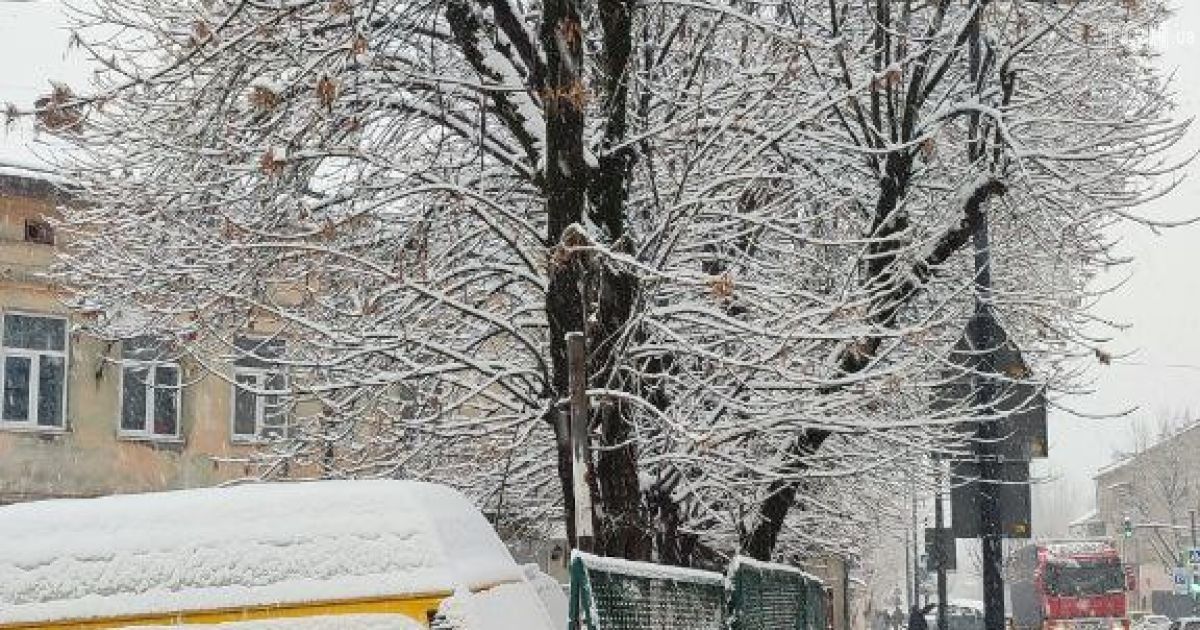 сніг у Львові / © ТСН.ua