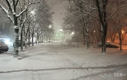 В Киеве начался сильный снегопад (фото)