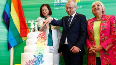 Немецкая политическая партия "Зеленые" отпраздновала решение парламента радужным тортом. / © Reuters