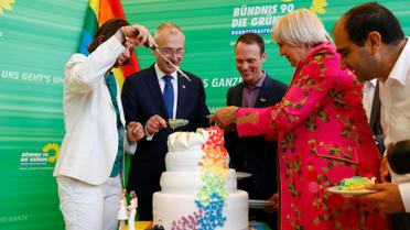 Немецкая политическая партия "Зеленые" отпраздновала решение парламента радужным тортом. / © Reuters