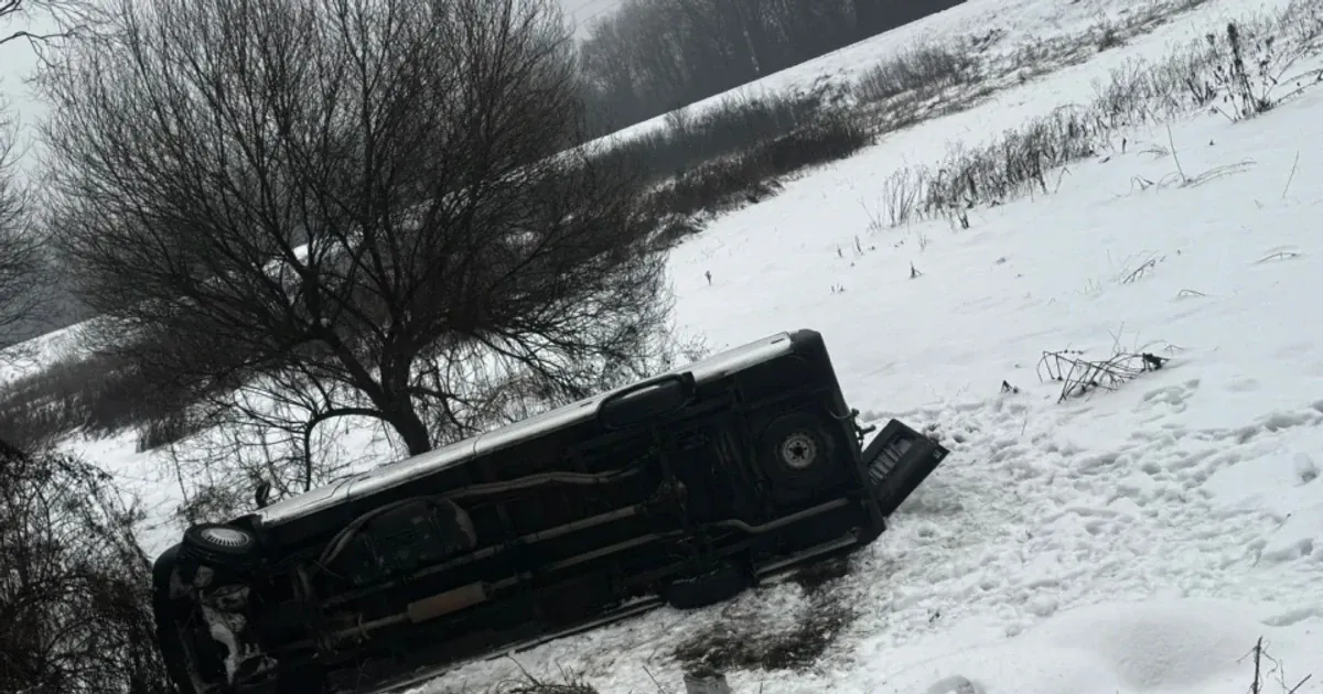 Мікроавтобус Mercedes Sprinter з’їхав з дороги та перекинувся у кювет