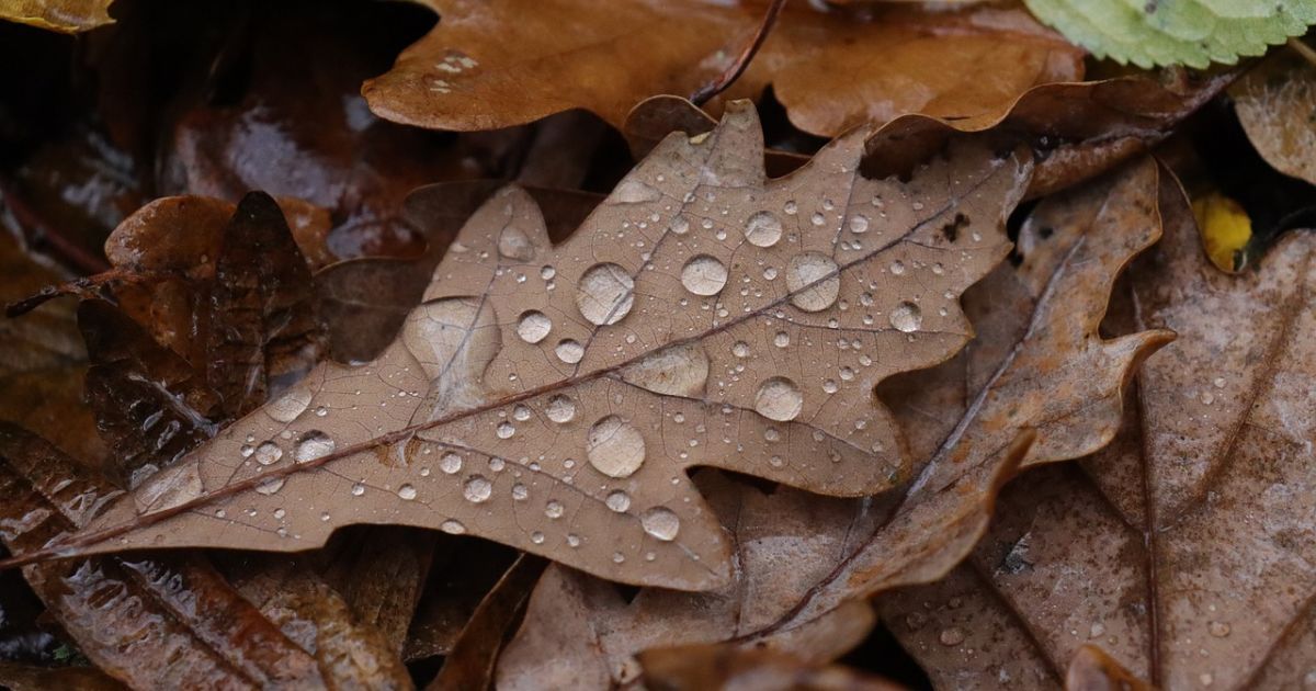Погода/Фото: pixabay