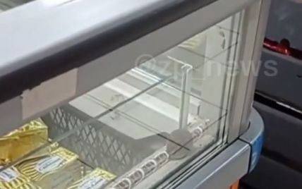 В запорізькому супермаркеті серед заморожених млинців зафільмували вгодовану мишу