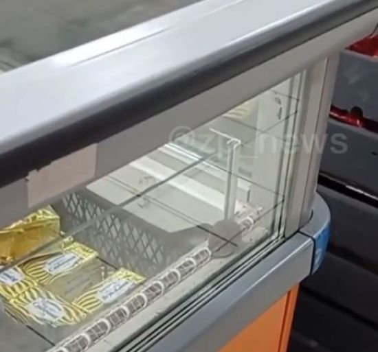 В запорізькому супермаркеті серед заморожених млинців зафільмували вгодовану мишу