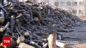 Зрубали дерев на кілька мільйонів гривень! Впіймали групу лісорубів-нелегалів