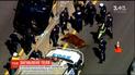 В США на автомагистрали заблудился теленок