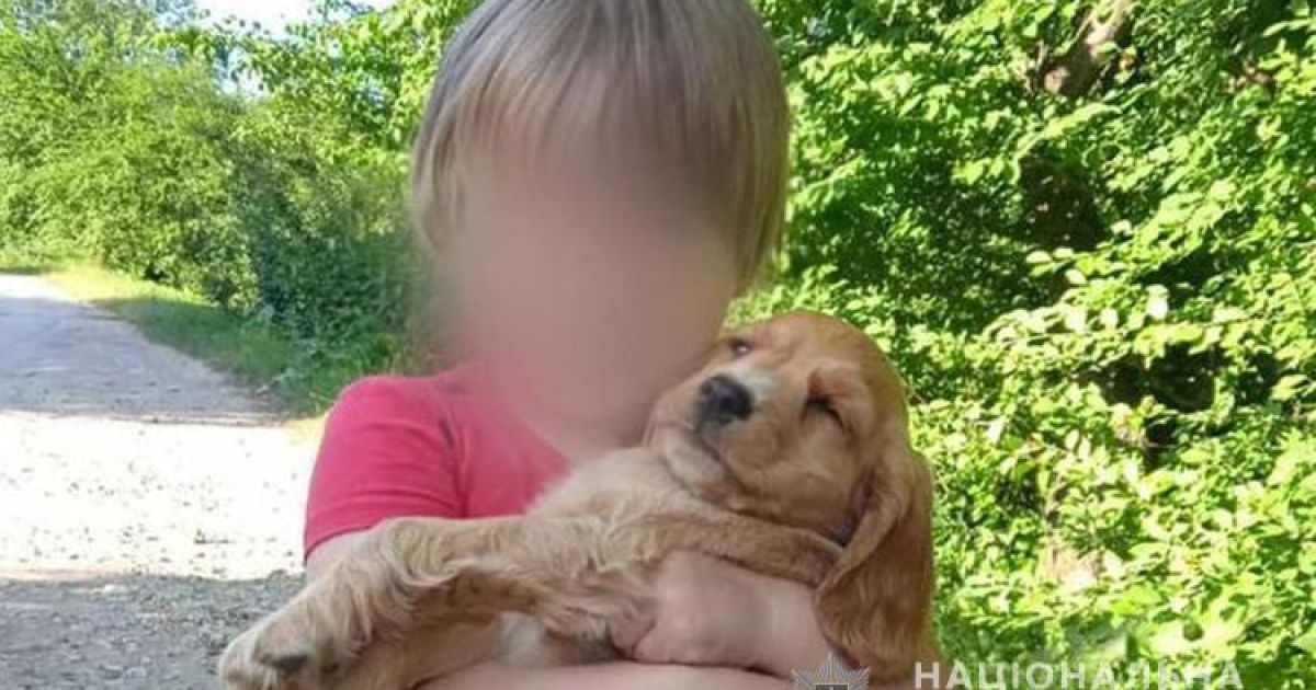 Гралась на подвір'ї і зникла: у Тернопільській області 2-річну дівчинку посеред ночі знайшли за 2 кілометри від села