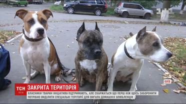 В Киеве запретили выгул домашних животных на территории школ и больниц