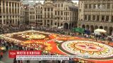 В центре Брюсселя создали гигантский ковер из свежих цветов