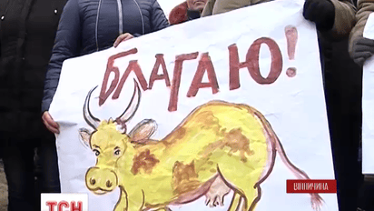 На Винниччине люди отказываются сдавать молоко за бесценок