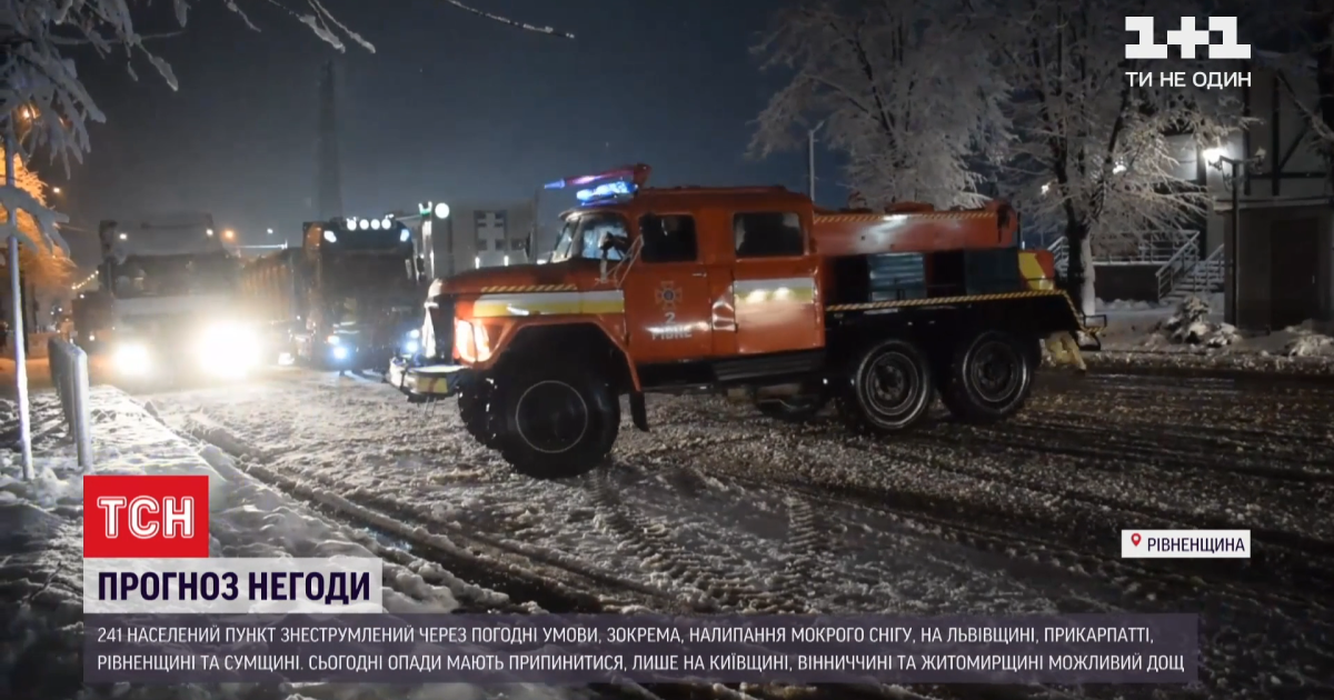 У Рівненській області сніг ламав дерева і "полонив" у заметах швидкі й автобуси