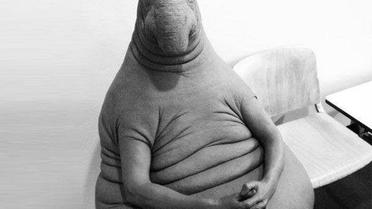 Пользователи делают фотожабы об убийстве террориста / © Фото из социальных сетей