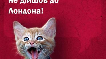 Пользователи делают фотожабы об убийстве террориста / © Фото из социальных сетей