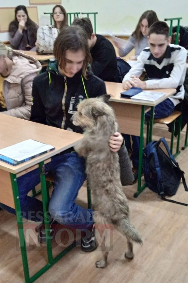 Фото: Бессарабия INFORM.
