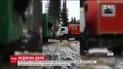 Врятували чи зарізали: юзерів наполохало відео порятунку ведмедя на півночі РФ
