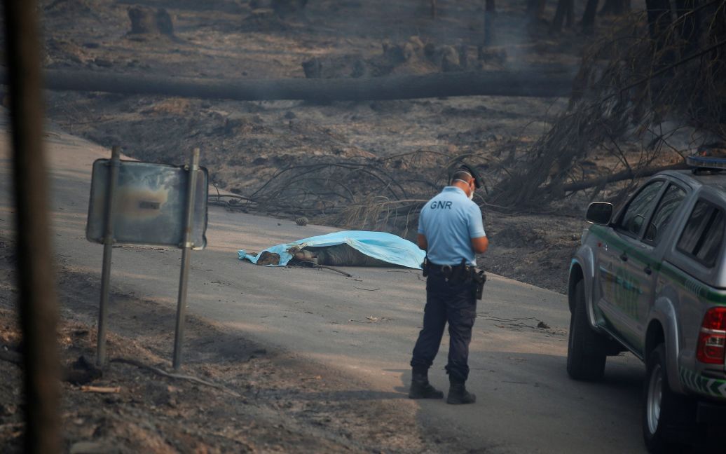 Більшість з жертв загинуло у власних автівках під час втечі від вогню / © Reuters
