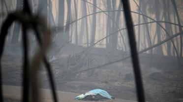 лісові пожежі у Португалії_14 / © Reuters