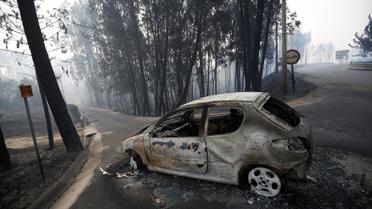 лісові пожежі у Португалії_16 / © Reuters