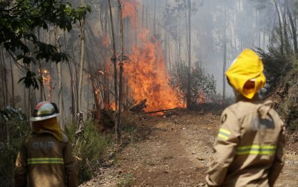 Масштабные лесные пожары в Испании: из кемпингов на юге страны эвакуировали более 1000 человек