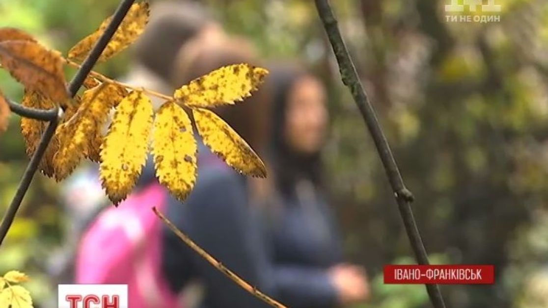 Секс-шопы в Ивано-Франковской области, секс-шопы рядом со мной на карте — Яндекс Карты