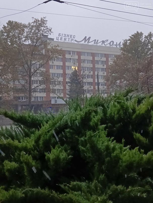 Первый снег в Николаеве Фото: 0512