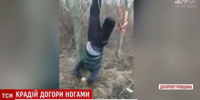Далекобійники підвісили на дереві догори ногами крадія пального на Дніпропетровщині