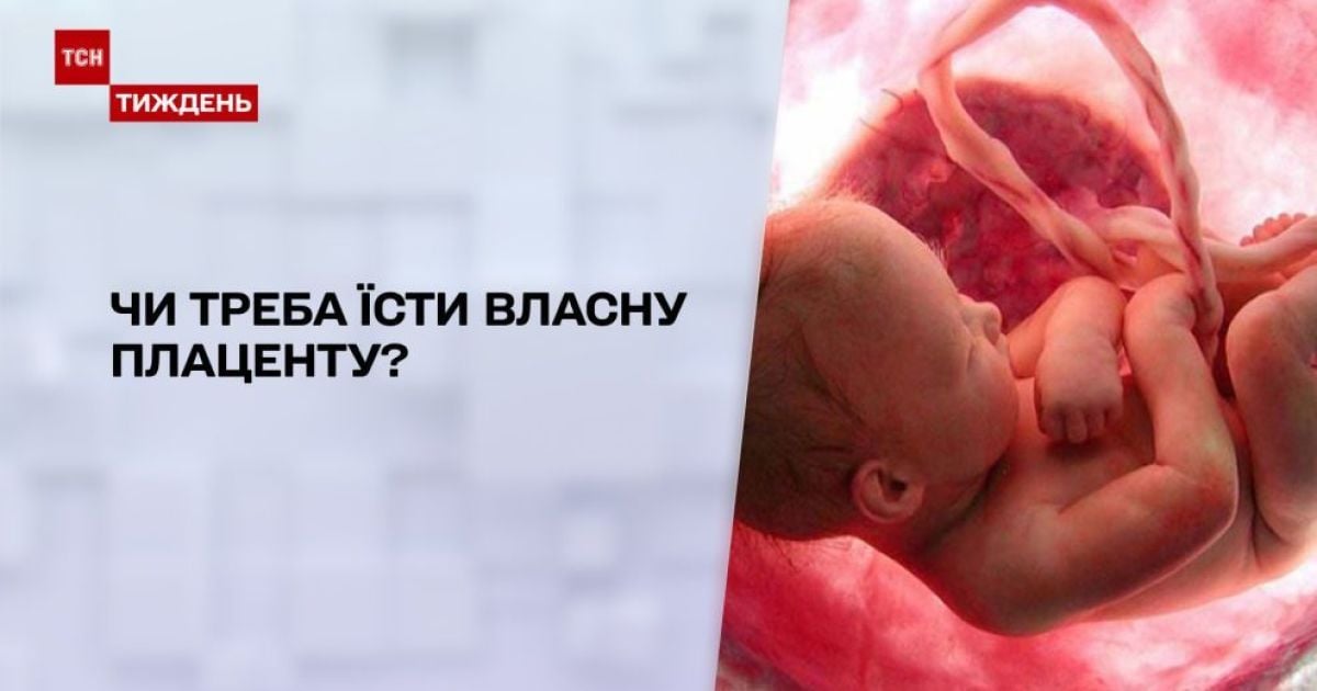 Надо ли есть плаценту: исследования ученых и популярность среди блоггеров