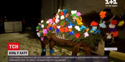 На заході на Старий новий рік засівальники заводять коня в оселі | Новини України