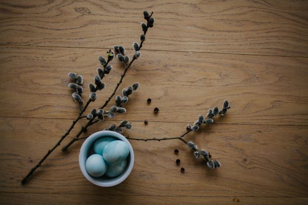 Що символізує верба на Вербну неділю? / © Pexels