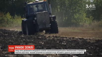 Уряд планує запустити ринок землі вже з 1 жовтня 2020 року