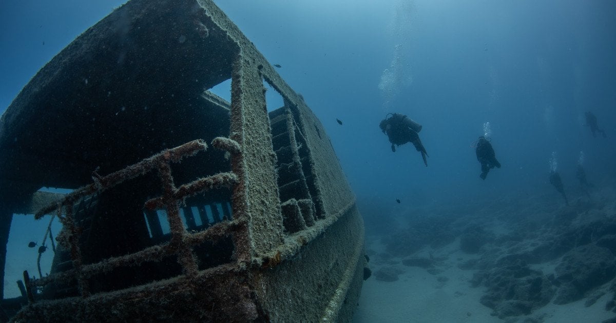 Учених здивувала знахідка