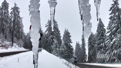 Гороскоп на 19–25 січня 2026 року