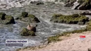 Біля моря не ходити: осінні шторми можуть принести до берега міни