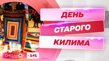 День старого ковра: зачем они нужны сегодня и как правильно их чистить