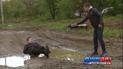 Украинские дороги: когда маленькая проблема порождает большую беду