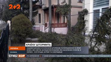 Снігопади, буревії та ожеледиця одразу в кількох регіонах країни: декілька людей травмовано