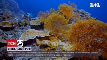 У водах Таїті вчені виявили неторканий кораловий риф | Новини світу