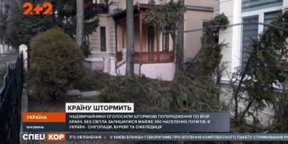 Снігопади, буревії та ожеледиця одразу в кількох регіонах країни: декілька людей травмовано