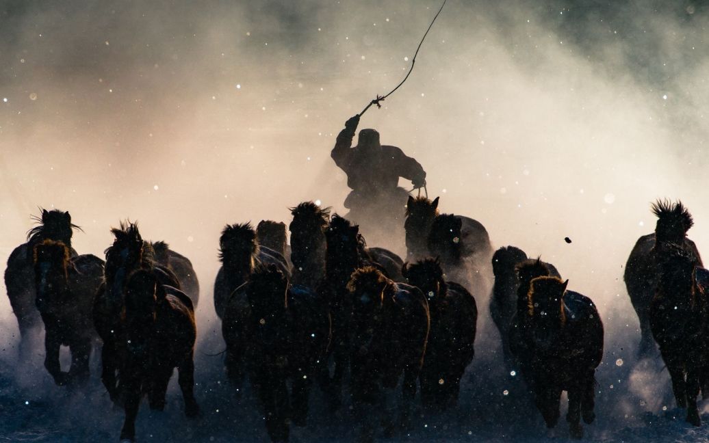 Гран-при: &laquo;Зимний всадник&raquo;, Внутренняя Монголия / © national geographic