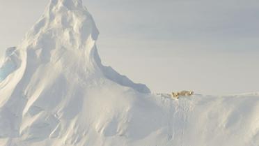 Заохочувальний приз, номінація &laquo;Природа&raquo;: &laquo;Ведмеді на айсбергу&raquo;, Нунавут, Канада / © national geographic