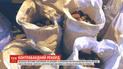 Более 400 килограммов янтаря задержали польские таможенники на границе с Украиной