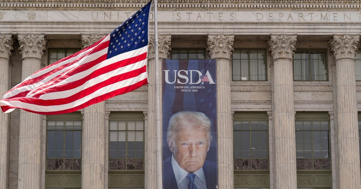 США.