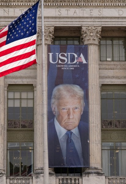 США.
