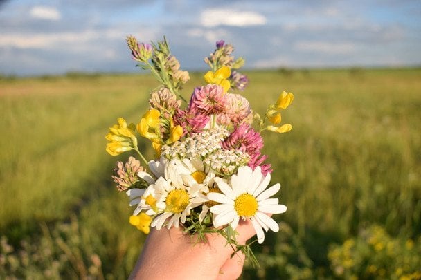 День ангела 14 травня — душевні привітання в прозі / © pexels.com