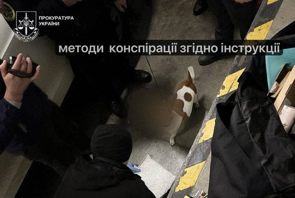 Суд обрав зловмисникам запобіжний захід / © Віталій Глагола